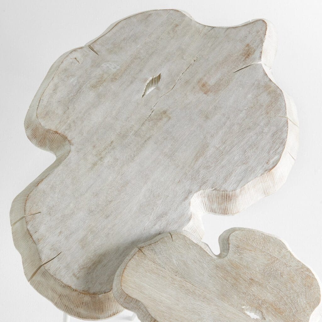Cyan Design 11342 Palmer Whitewashed Coffee Table - Modern Farmhouse Living Room Centerpiece for Home Decor & Entertaining