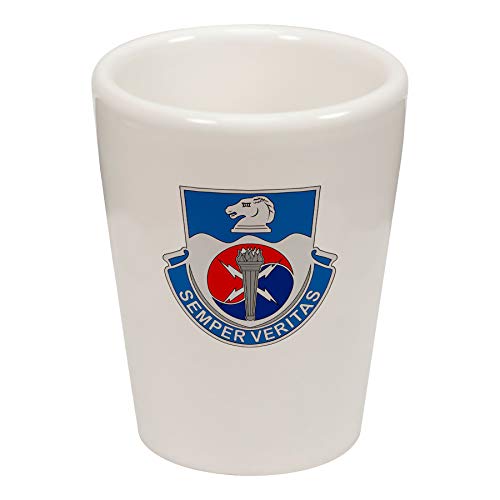 US Army 312th Military Intelligence Battalion, DU