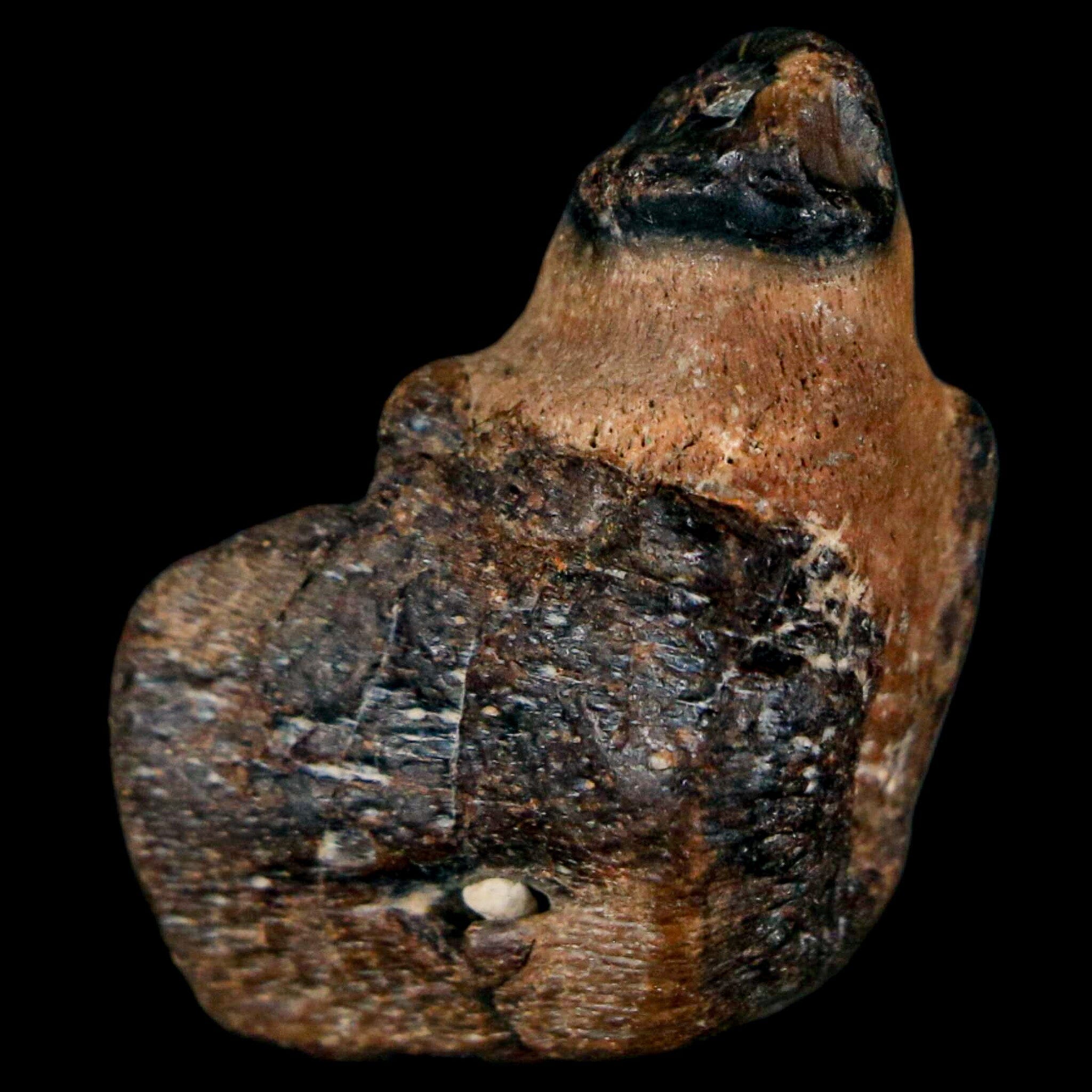 1.2