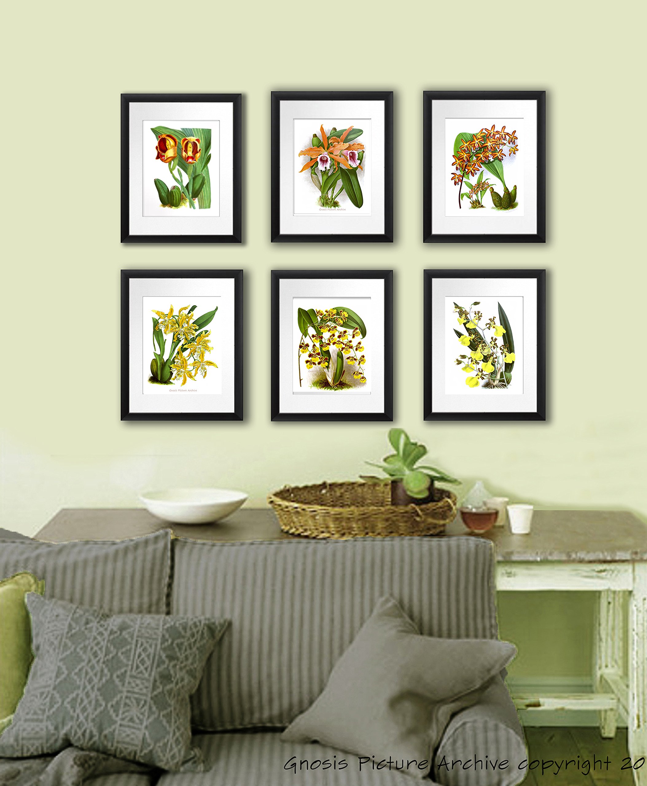 Set of 6 Tropical Orchid Wall Art Prints - Orange & Yellow Unframed Canvas Paintings for Living Room, Bedroom, Office Decor | Vibrant Floral Home Decorations Perfect for Housewarming Gifts & Interior Design