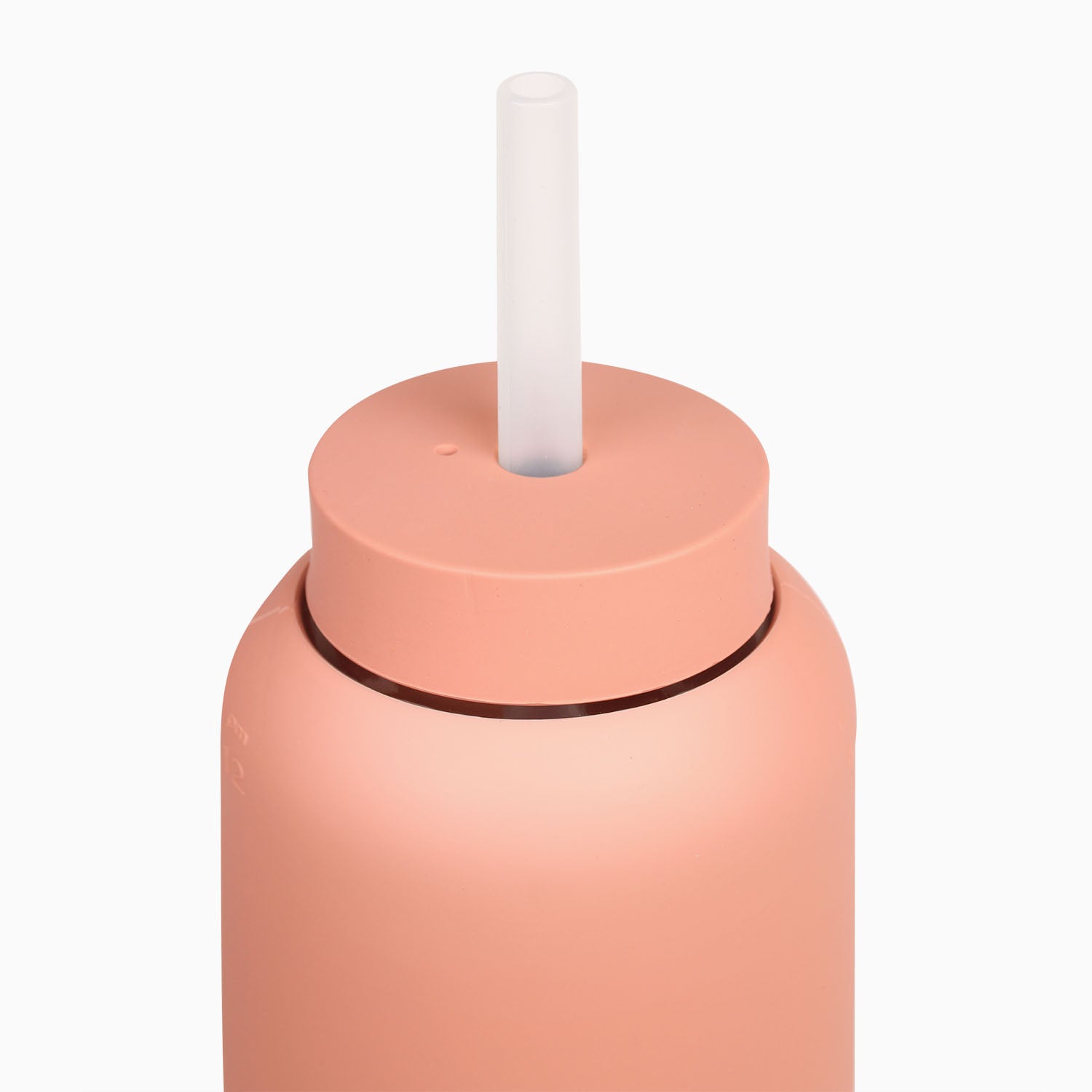 Premium Stainless Steel Reusable Straw with Silicone Cap - Eco-Friendly Drinking Straw for Smoothies, Iced Coffee & Cocktails - Perfect for Home, Office & Travel Use