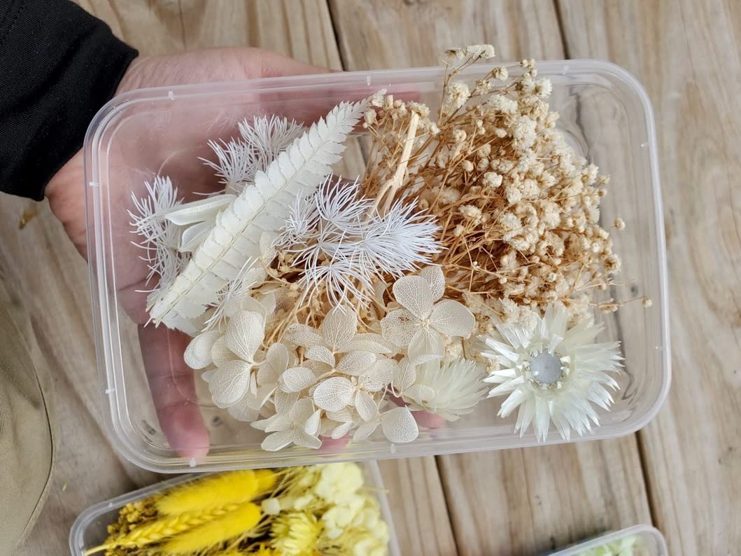 Natural Dried White Flowers in Gift Box - Premium Floral Decor for Home, Wedding & Party Decoration - Perfect for DIY Crafts, Centerpieces & Romantic Gifts