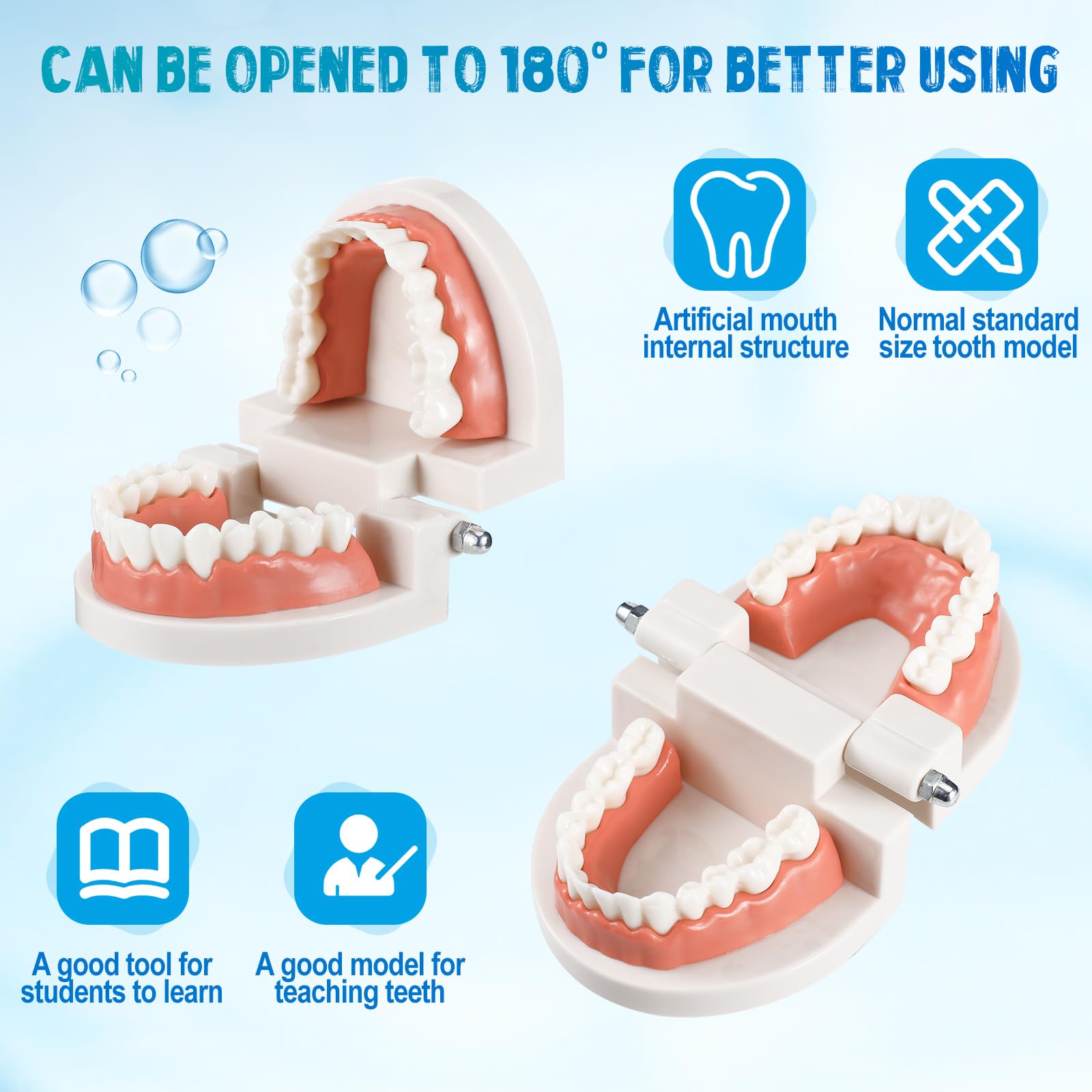 Skylety 4-Piece Kids Dentist Play Set with Dental Teeth Model, Toothbrush & Educational Cards - Standard Size Fake Braces for Child Dental Teaching & Role Play | Perfect for Classroom Demonstrations, Homeschool Learning & Pretend Play