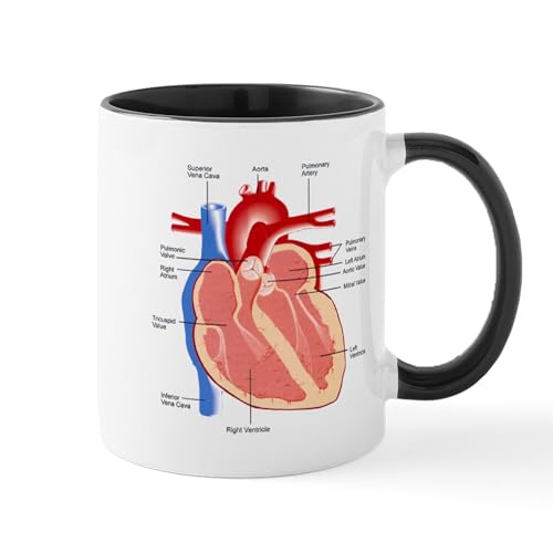 White/Black Inside - Human Heart Anatomy Mug