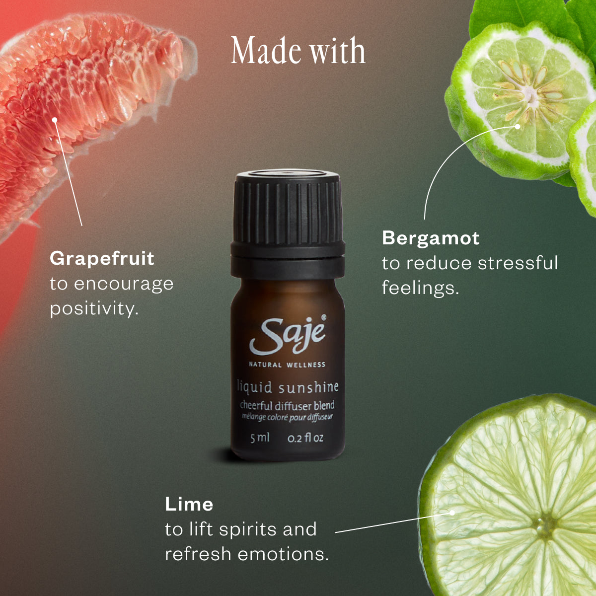 Best Saje Wellness Essentials Gift Set - Aromatherapy & Relaxation Kit for Stress Relief, Home Spa & Self-Care Gifts