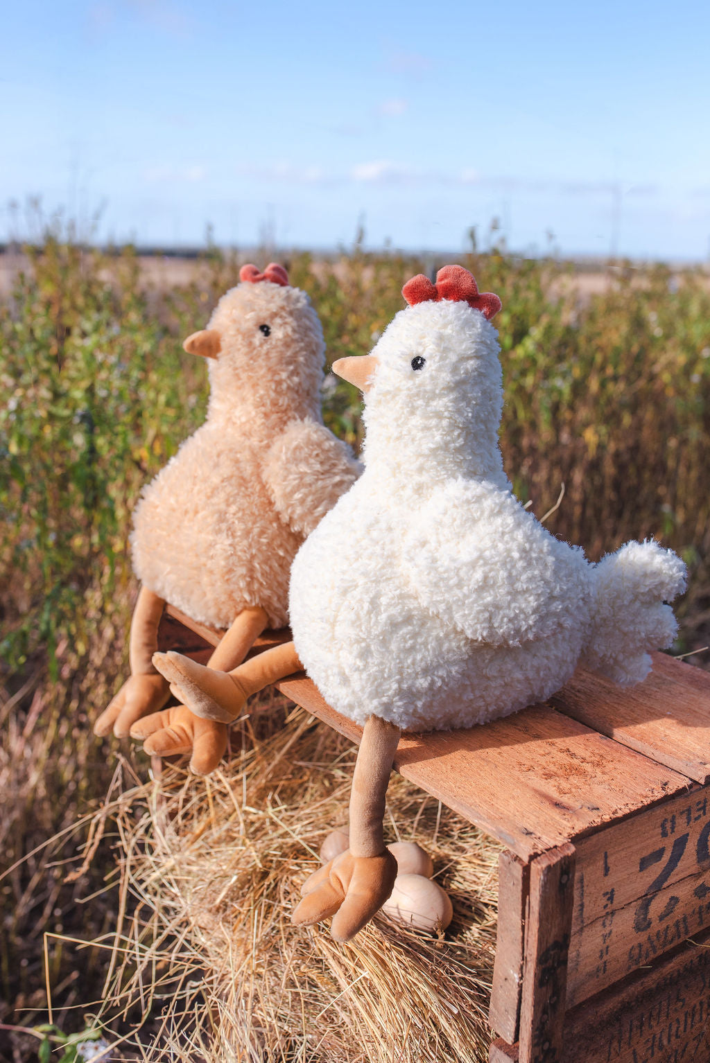 Harriet & Henrietta the Hens Set - Adorable Chicken Figurines for Farmhouse Decor, Collectible Animal Statues - Perfect for Home, Garden, and Farm Themed Displays