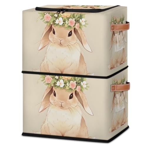 Easter Rabbit