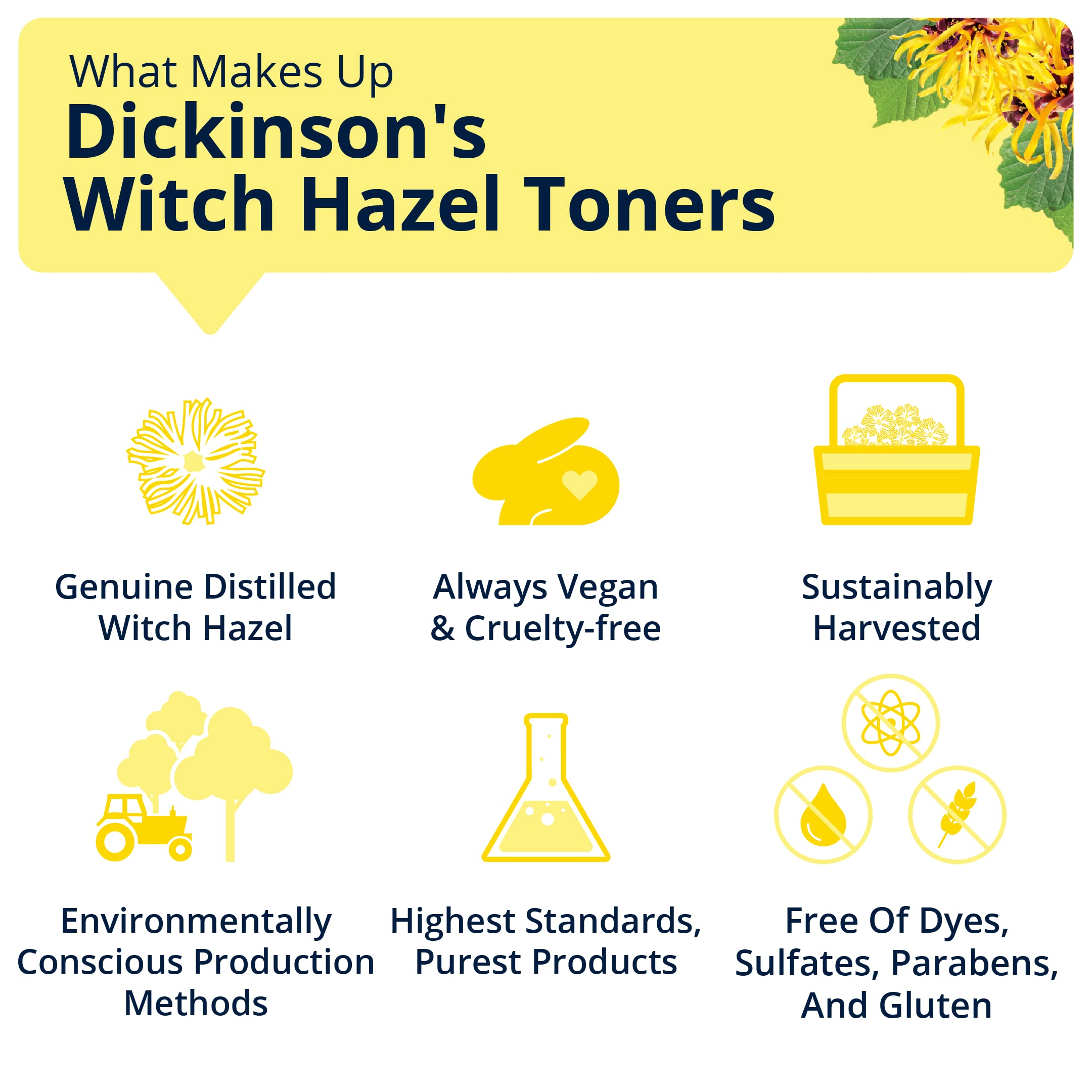 Dickinson's Witch Hazel Hydrating Toner + Serum with Rose Water - Alcohol-Free Facial Toner for Acne, Pores & Oily Skin - Perfect for Daily Skincare & Post-Shave Soothing