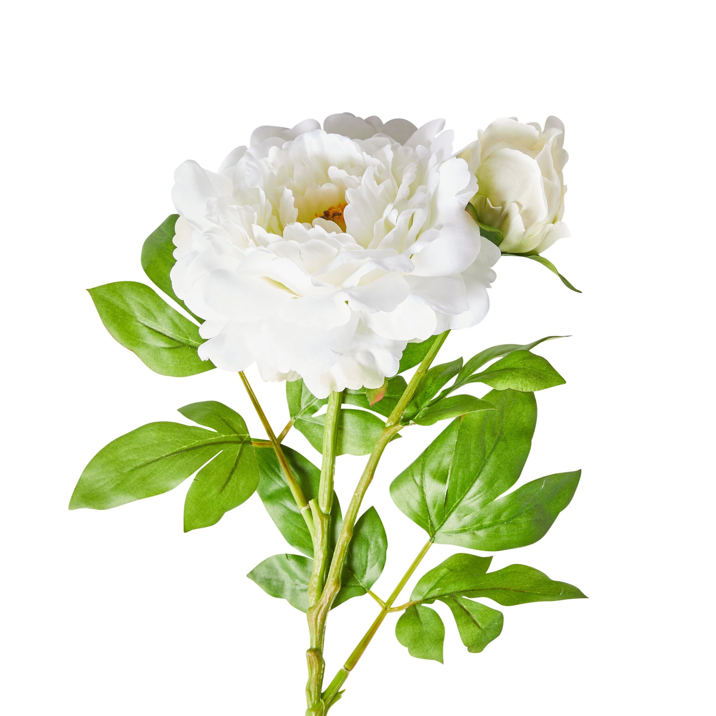 74cm Acacia Peony White Artificial Flowers for Home Decor, Wedding Centerpieces, and Floral Arrangements
