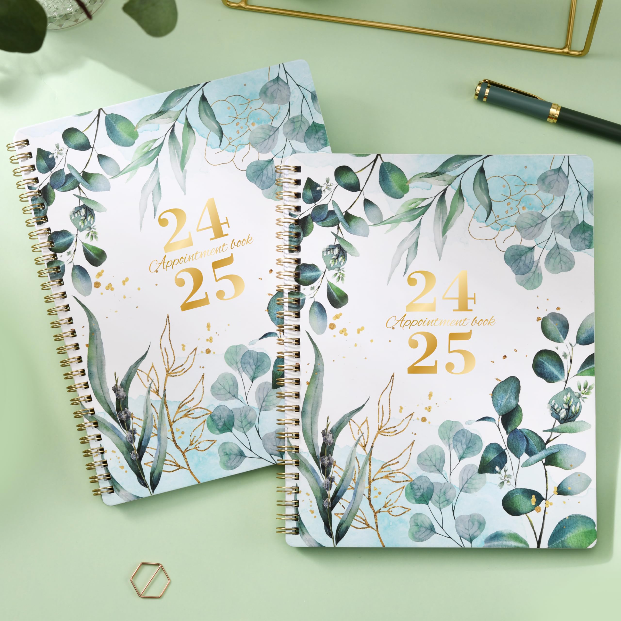 2024-2025 Appointment Book Planner - July 2024 to June 2025 Daily & Weekly Schedule Organizer with 30-Minute Intervals, 8