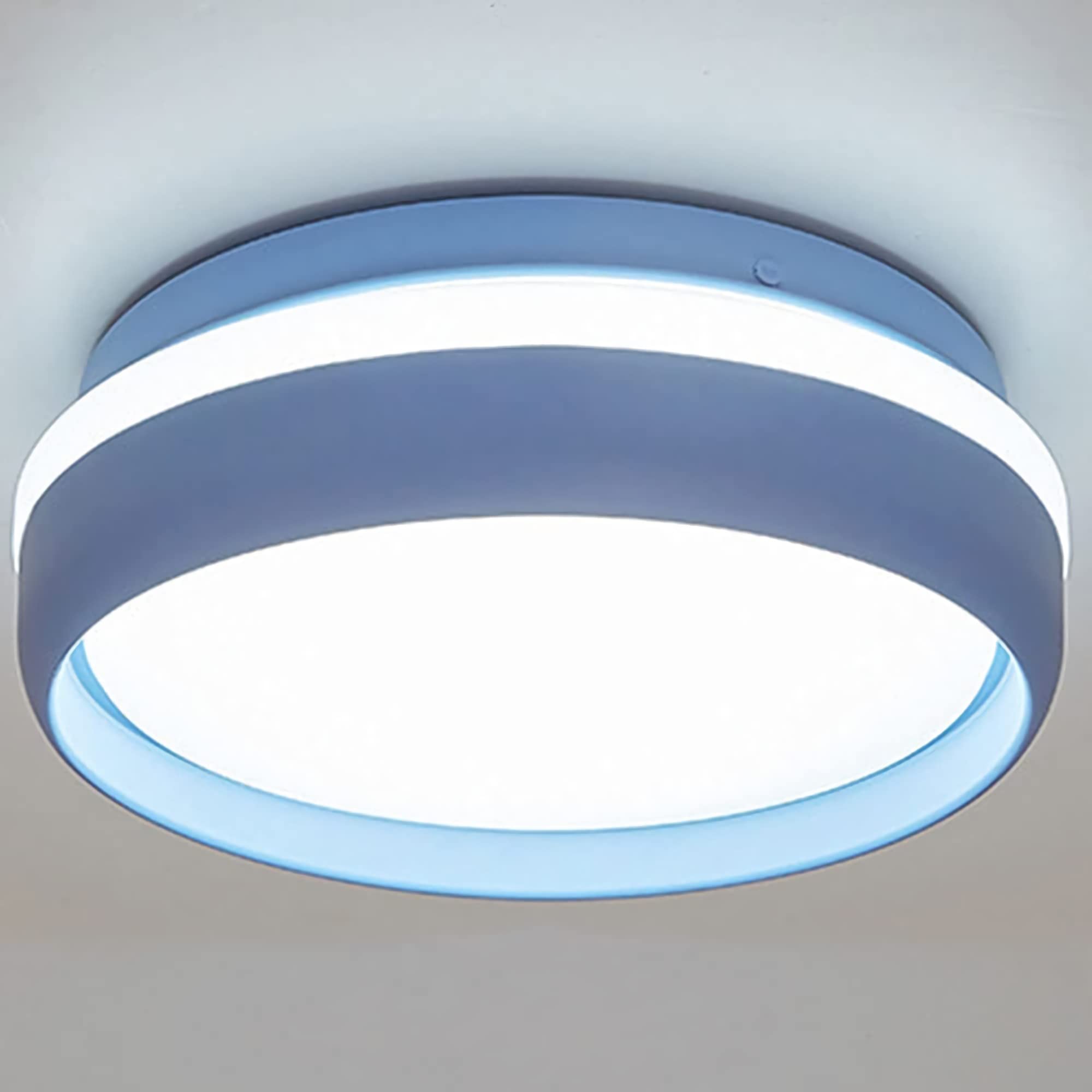 Modern LED Ceiling Light Fixture - 12W 6000K Cool White Flush Mount Circular Lamp for Home & Office - Perfect for Hallways, Bedrooms, Kitchens, Living Rooms, Dining Areas, Entrances and Balconies - Energy Saving Dimmable Indoor Lighting