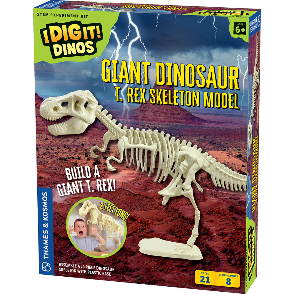 Giant Dinosaur Skeleton Kit - 3D DIY T-Rex Fossil Model for Kids & Adults - STEM Educational Toy for Classroom, Birthday Party & Home Decor