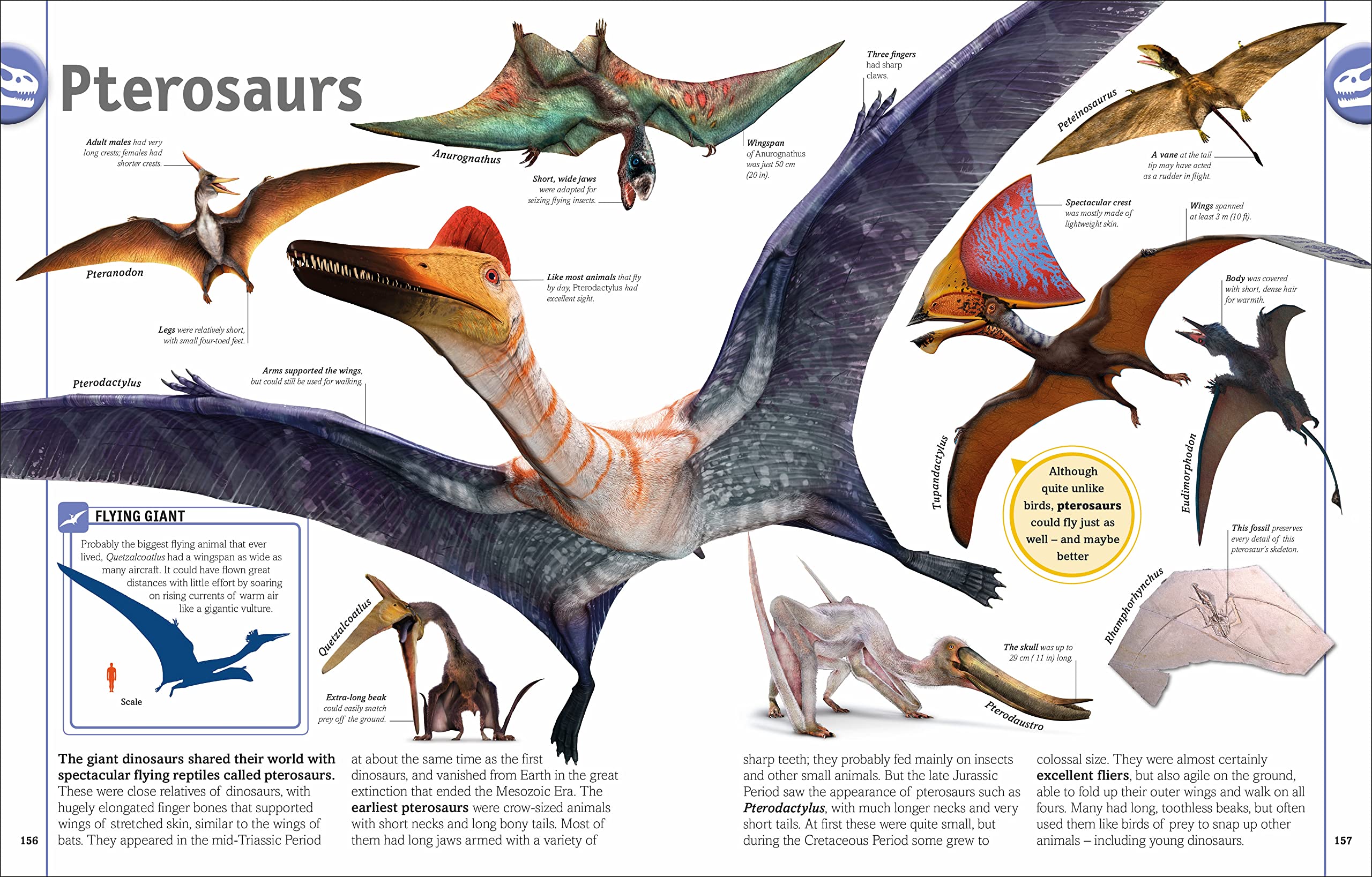 The Dinosaur Book - Educational Kids Book About Dinosaurs for Children | Perfect for Learning, Gifts & Bedtime Reading