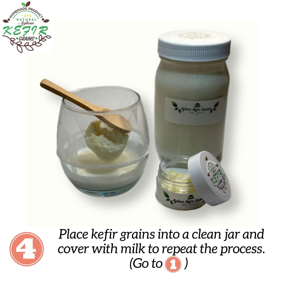 1 TBSP Fresh Milk Kefir Grains - Live Probiotic Starter Culture for Homemade Yogurt & Fermented Drinks - Includes Complete Starter Kit for Gut Health & Digestion - Perfect for Smoothies, Baking & Healthy Breakfasts