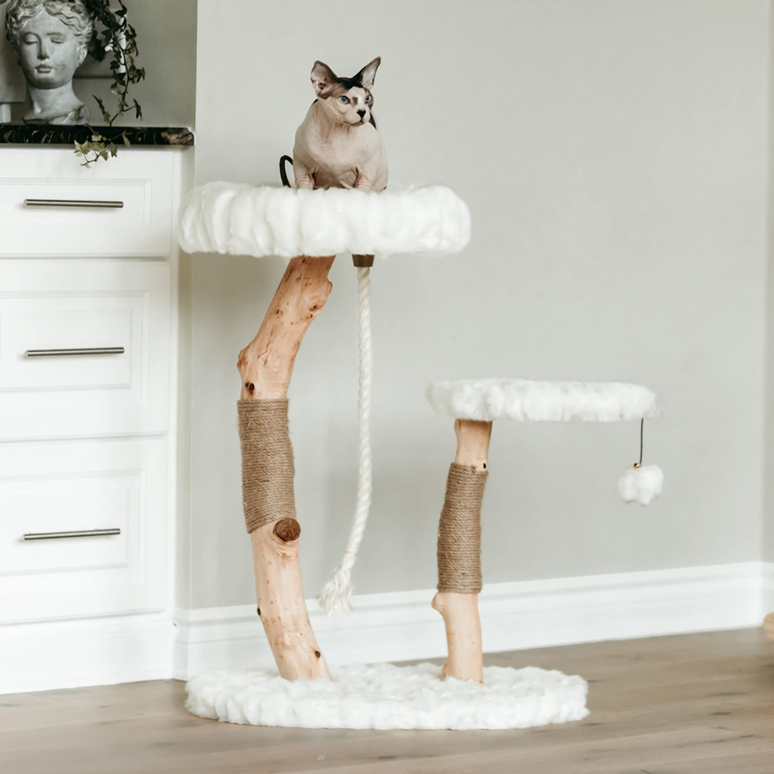 Luxury Modern Cat Tree & Wood Cat Tower - Natural Branch Scratching Post & Cat Condo | Premium Cat Furniture for Indoor Cats | Perfect for Apartments & Home Decor
