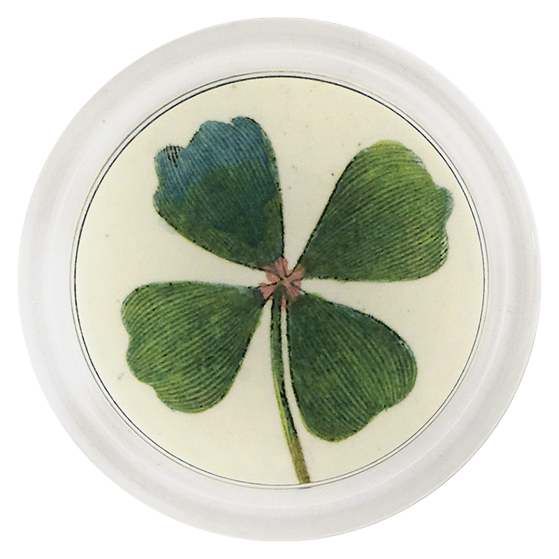 Clover 1 - Premium Quality Clover Seeds for Lawns & Gardens | Perfect for Landscaping, Ground Cover & Bee-Friendly Gardens