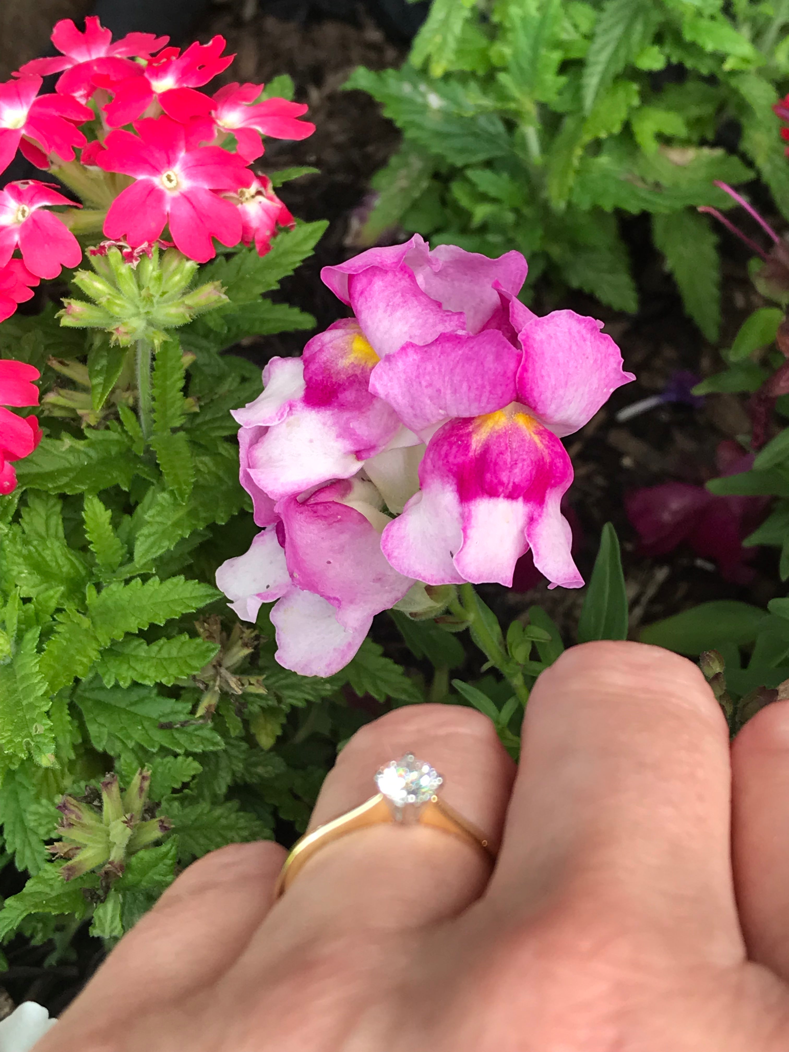 18ct Yellow Gold 0.45ct Certified Natural Diamond Ring for Women - Elegant Engagement, Wedding, Anniversary & Special Occasion Jewelry Gift