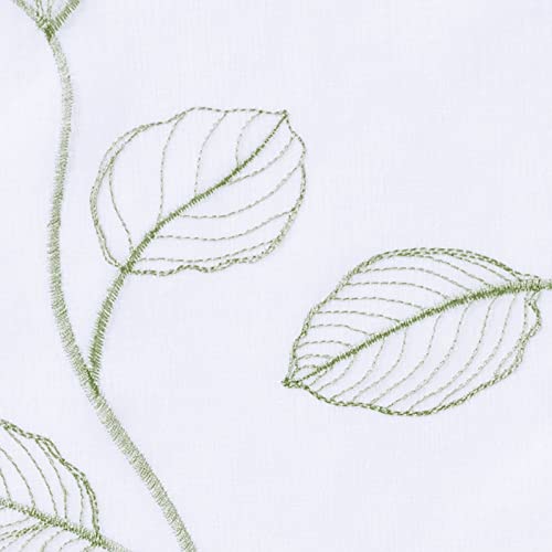 Sage on White