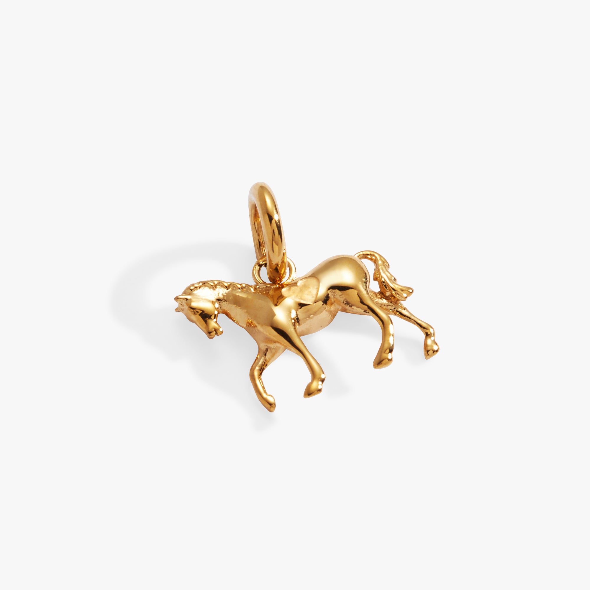 Equestrian Interchangeable Charms for Horse Lovers - Customizable Jewelry for Riding Enthusiasts | Perfect for Gifts, Horse Shows & Equestrian Events