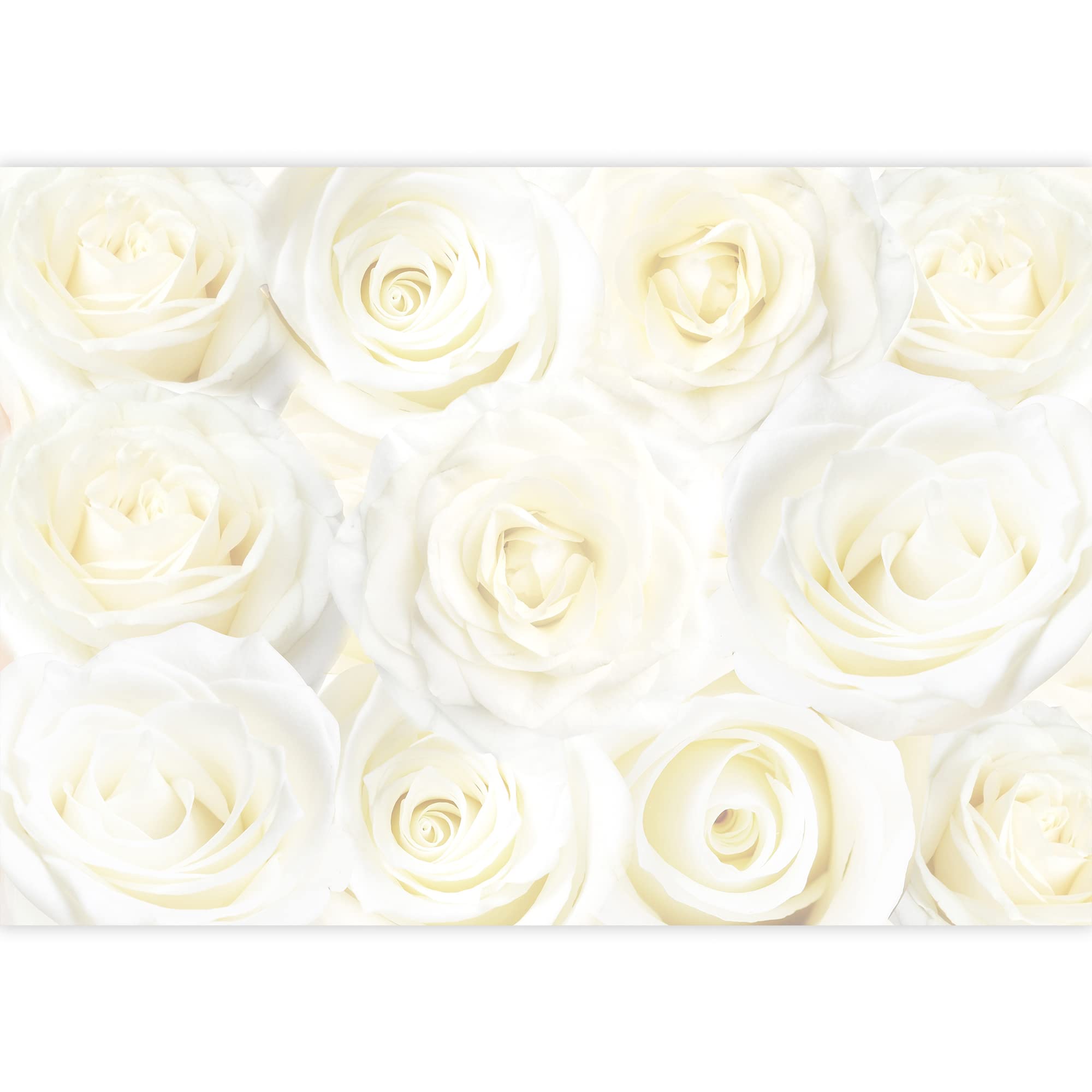 Wall26 - Creamy Soft Rose Pattern Pastel Wall Mural - Removable Peel and Stick Wallpaper - Home Decor for Bedroom, Living Room, Nursery - 66x96 Inches - Easy DIY Installation for Stylish Interior Design