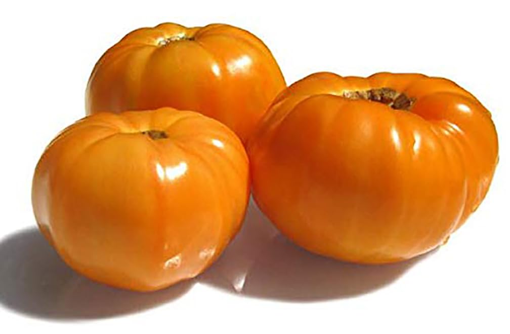 Amana Orange Heirloom Tomato Seeds - Large, Sweet & Juicy Organic Tomato Seeds for Home Garden - Perfect for Salads, Sauces & Fresh Eating