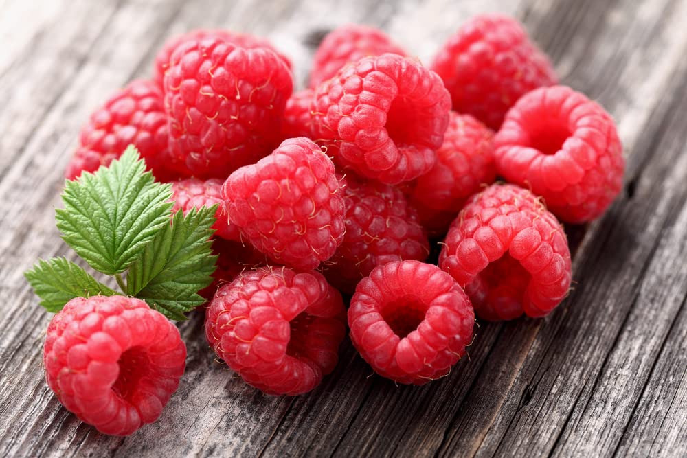 100 Heirloom Red Raspberry Seeds (Rubus idaeus) - Non-GMO European Raspberry Framboise for Home Garden Planting - Perfect for Jams, Baking & Fresh Eating