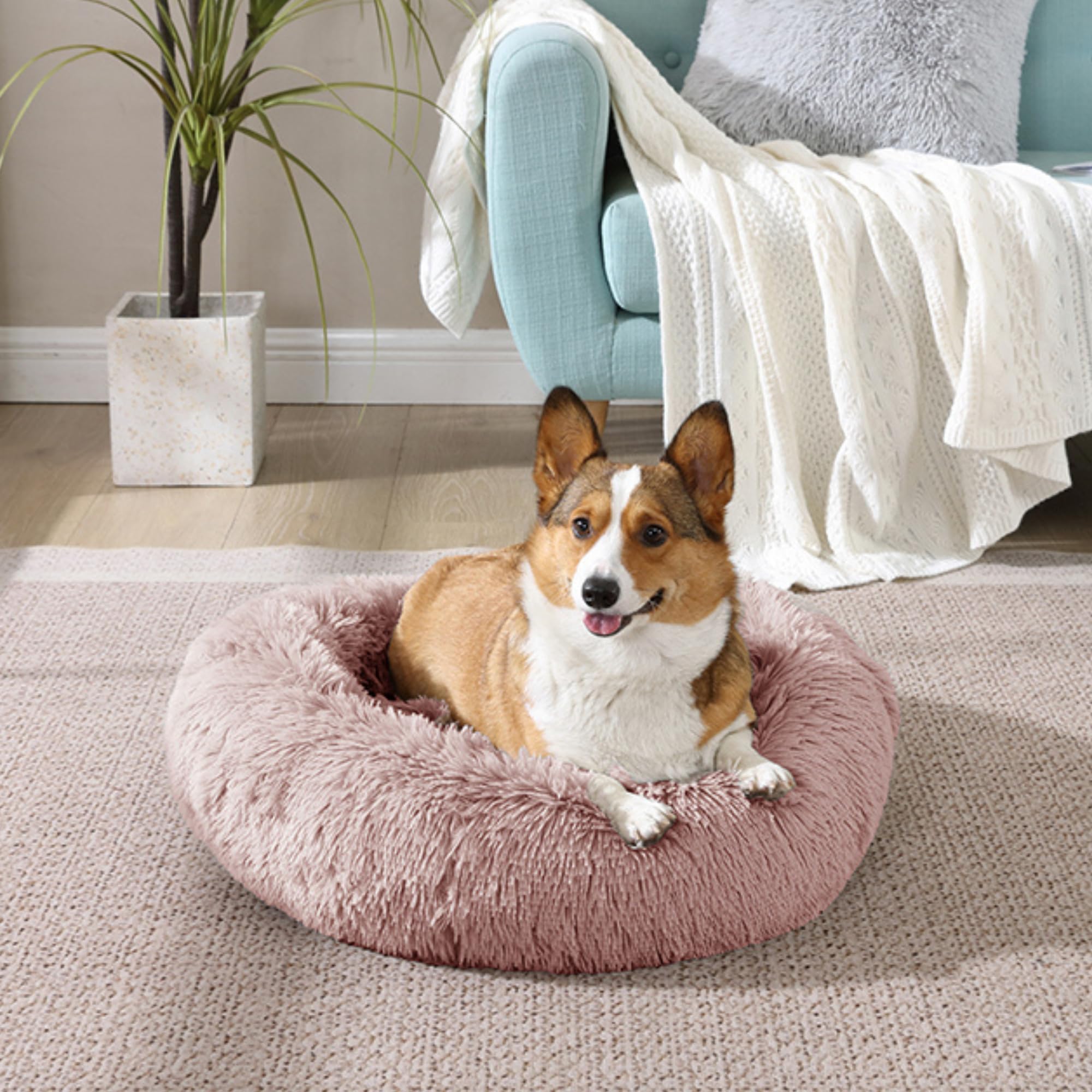Arlee Donut Round Memory Foam Dog Bed - Calming Anxiety Relief Pet Bed with Shaggy Vegan Fur - Made in USA - Perfect for Small/Medium Dogs & Puppies in Living Room or Bedroom
