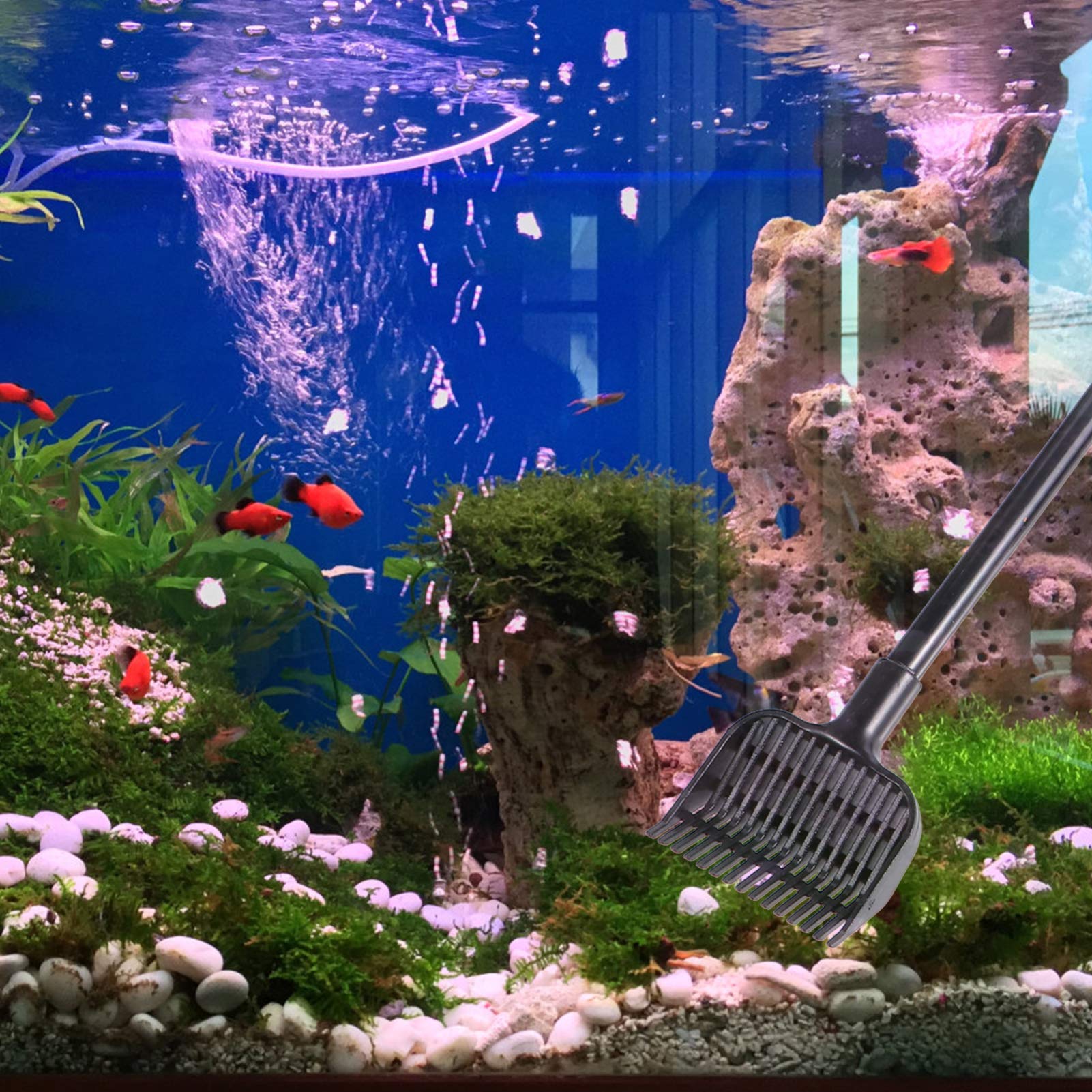 Balacoo Aquarium Cleaning Kit - 1 Set Glass Scraper, Fish Tank Brush, Cleaning Pad & Net - Professional Deep Cleaning Tools for Freshwater & Saltwater Tanks - Perfect for Algae Removal, Glass Scrubbing & Tank Maintenance