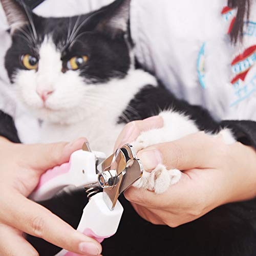 Professional Cat & Dog Nail Clippers - Stainless Steel Pet Grooming Kit with Safety Round Tip, Heavy Duty Titanium Coated Shears & Comb | Perfect for Home Pet Grooming & Nail Trimming Sessions