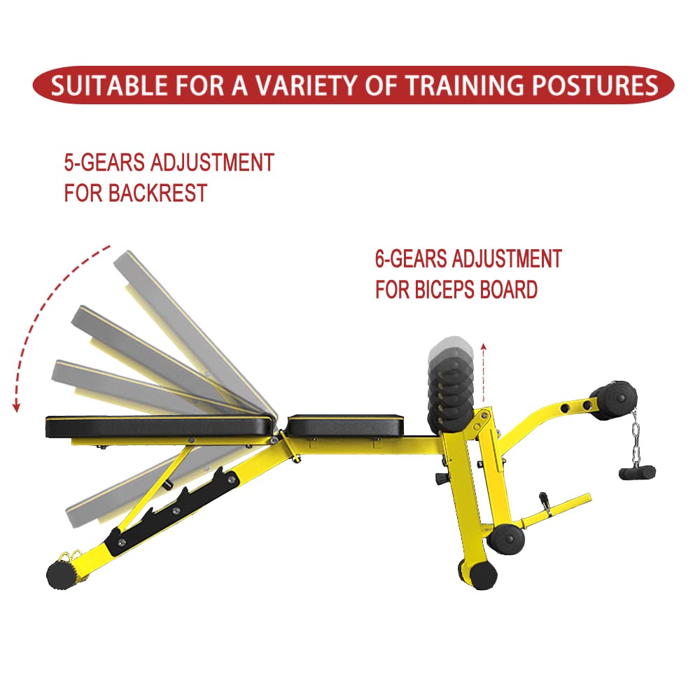 EASY BIG Adjustable Weight Bench with Leg Extension - Multi-Position Strength Training Bench for Dumbbell Exercises, Ab Workouts & Home Gym - Perfect for Full-Body Workouts & Small Spaces