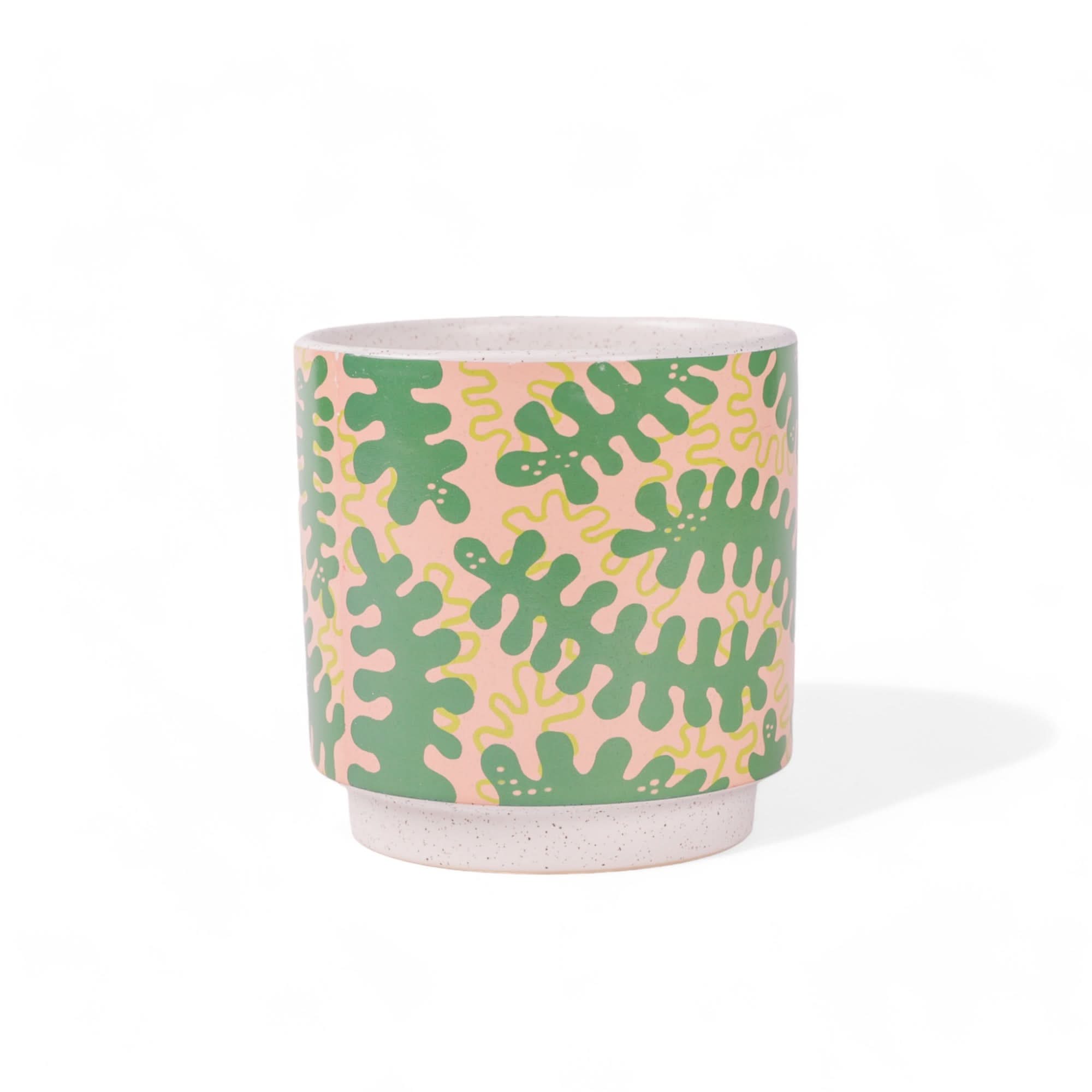Funky Phrases Pot Collection - Unique Decorative Plant Pots for Home & Office Decor - Perfect for Succulents, Herbs & Small Plants