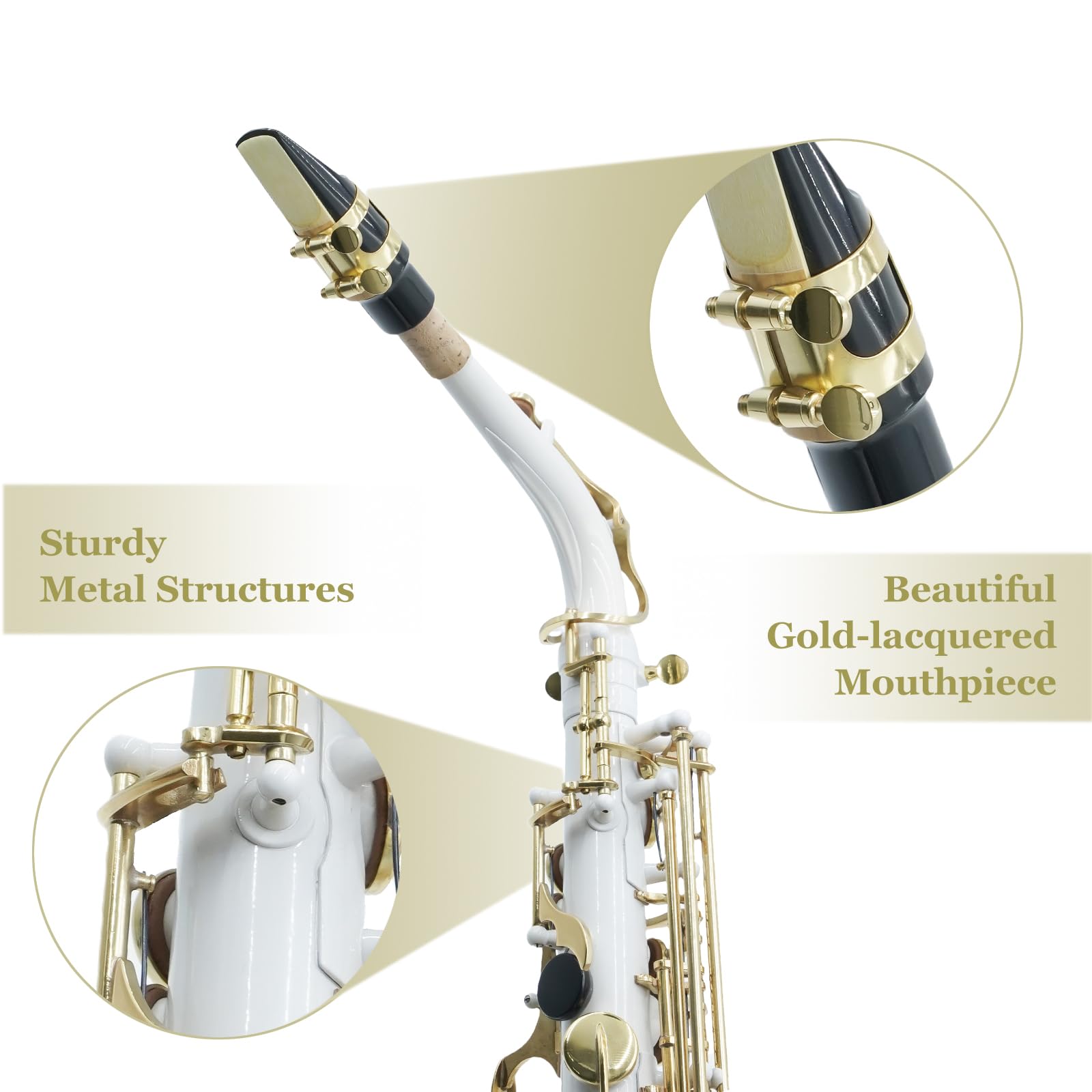 Professional Eb Alto Saxophone with F# Key - White Body & Gold Lacquer Keys | Includes Canvas Case, Gloves, Reeds & Care Kit | Perfect for Beginners, Students & Jazz Performers
