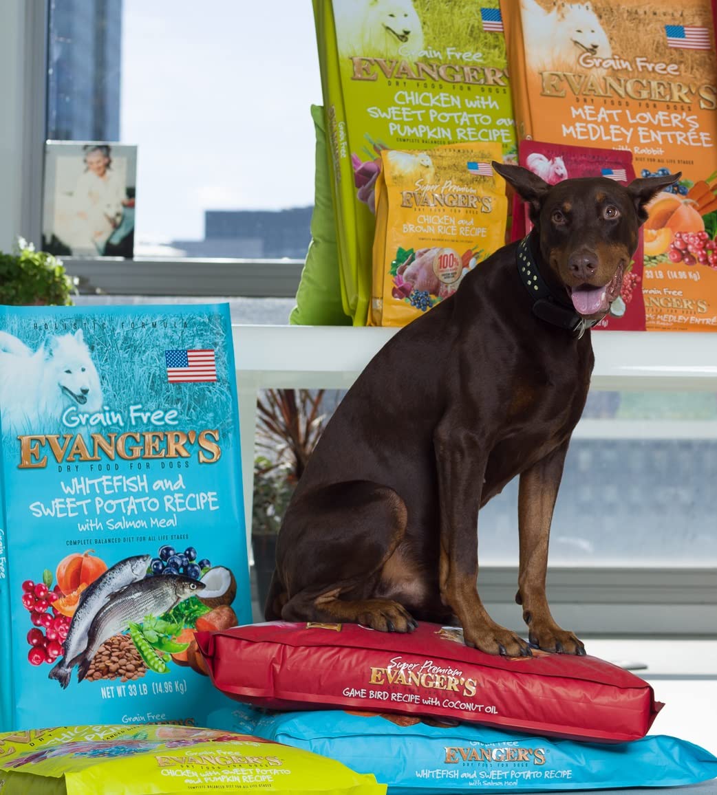 Evanger's Super Premium Gamebird Recipe with Coconut Oil Dry Dog Food - 33 lb Bag | High Protein Grain-Free Kibble for Active & Senior Dogs | Perfect for Training, Weight Management & Sensitive Stomachs