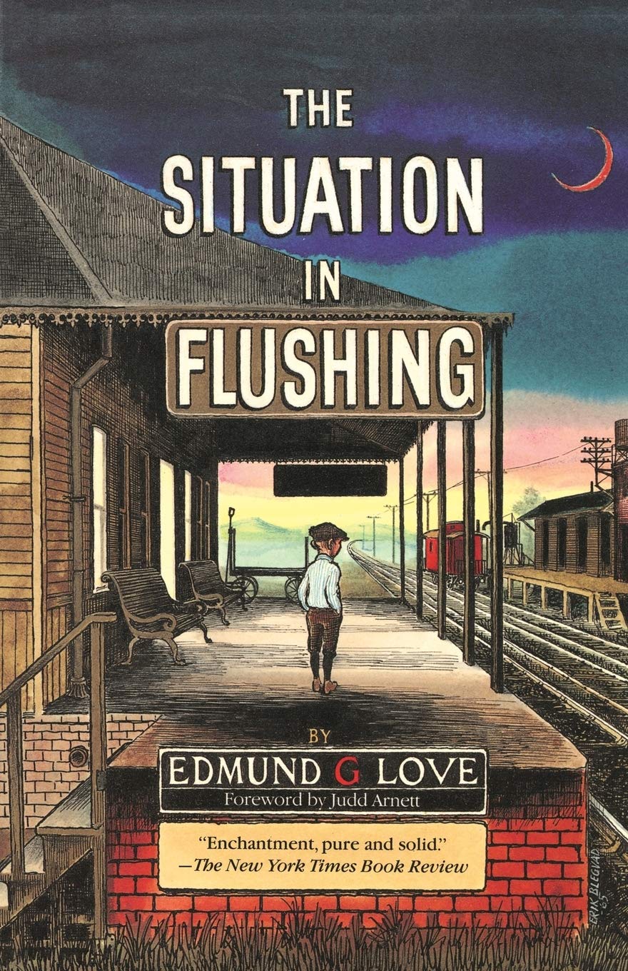 The Situation in Flushing - Great Lakes Books | Historical Novel, American Midwest Culture | Perfect for Book Clubs & History Enthusiasts