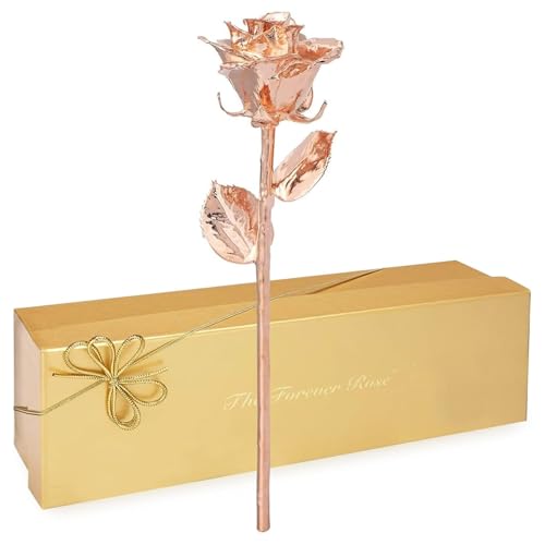 Rose Gold Dipped Rose