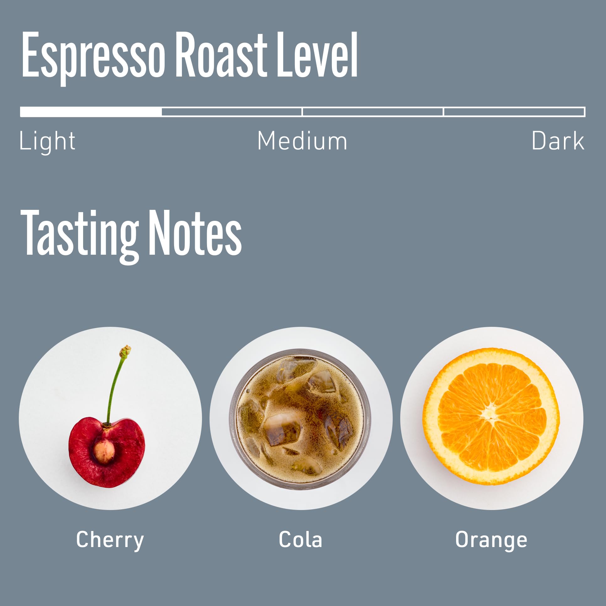Intelligentsia Medium Roast Whole Bean Coffee - Black Cat Classic Espresso 12oz (340g) | Premium Arabica Beans for Rich Flavor | Perfect for Home Brewing, Espresso Machines & Gifts