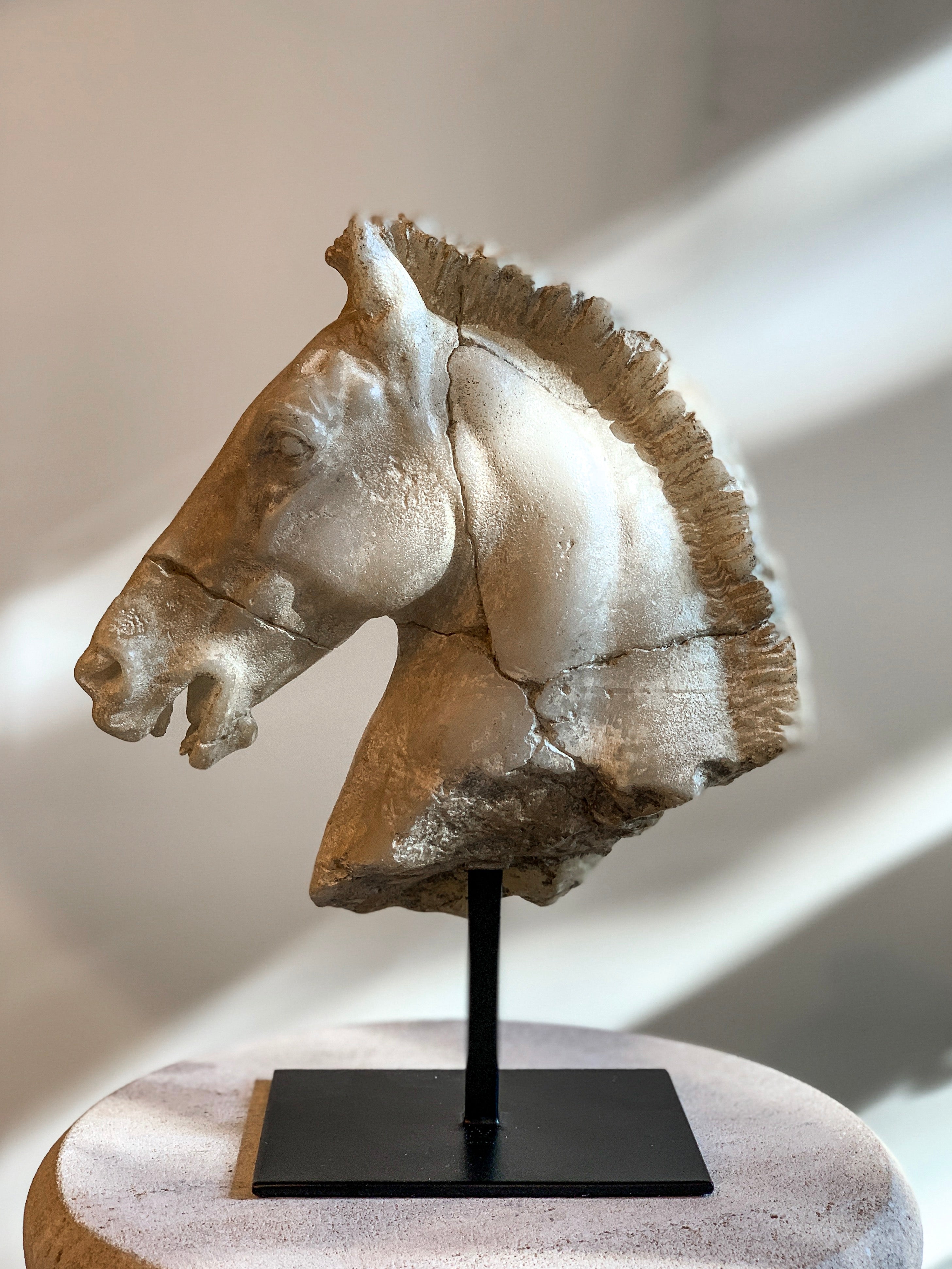 Monti's Elegant Horse Head Sculpture - Handcrafted Home Decor Statue for Living Room, Office & Garden | Perfect Gift for Equestrian Lovers