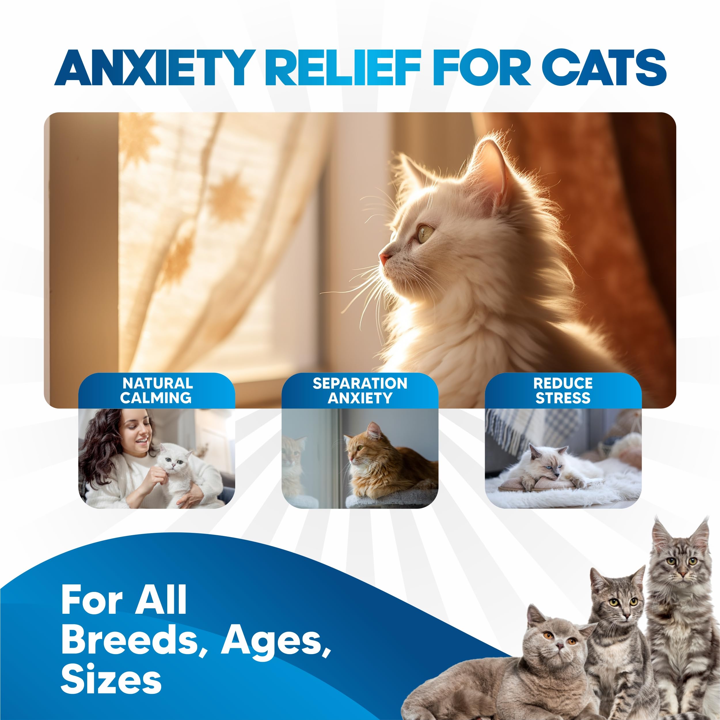 Cat Anxiety Relief Liquid Drops - 90 Day Supply with Faster Absorption Than Calming Treats - Natural Calming Aid for Cats of All Ages - Sleep Support with 8-Ingredient Blend & Melatonin - Perfect for Stressful Events, Travel & Vet Visits