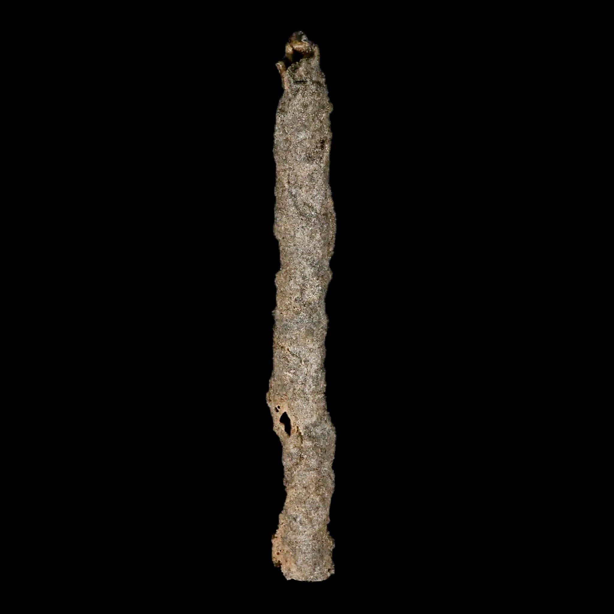 XXL 7.5 Inch Fulgurite Petrified Lightning Strike Glass - Rare Natural Sand Crystal from Sahara Desert Algeria - Unique Home Decor & Geological Specimen Collection