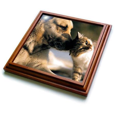 3D Rose Ceramic Tile Trivet for Cats and Dogs Lovers - 8x8 Inch Brown Kitchen Hot Pad - Perfect for Hot Dishes, Pots, and Table Decor