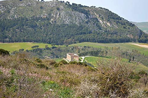 20x30 Inch Laminated Sicily Segesta Temple Landscape Poster - Vibrant Colors & High-Quality Print - Perfect for Living Room, Bedroom or Office Wall Decor