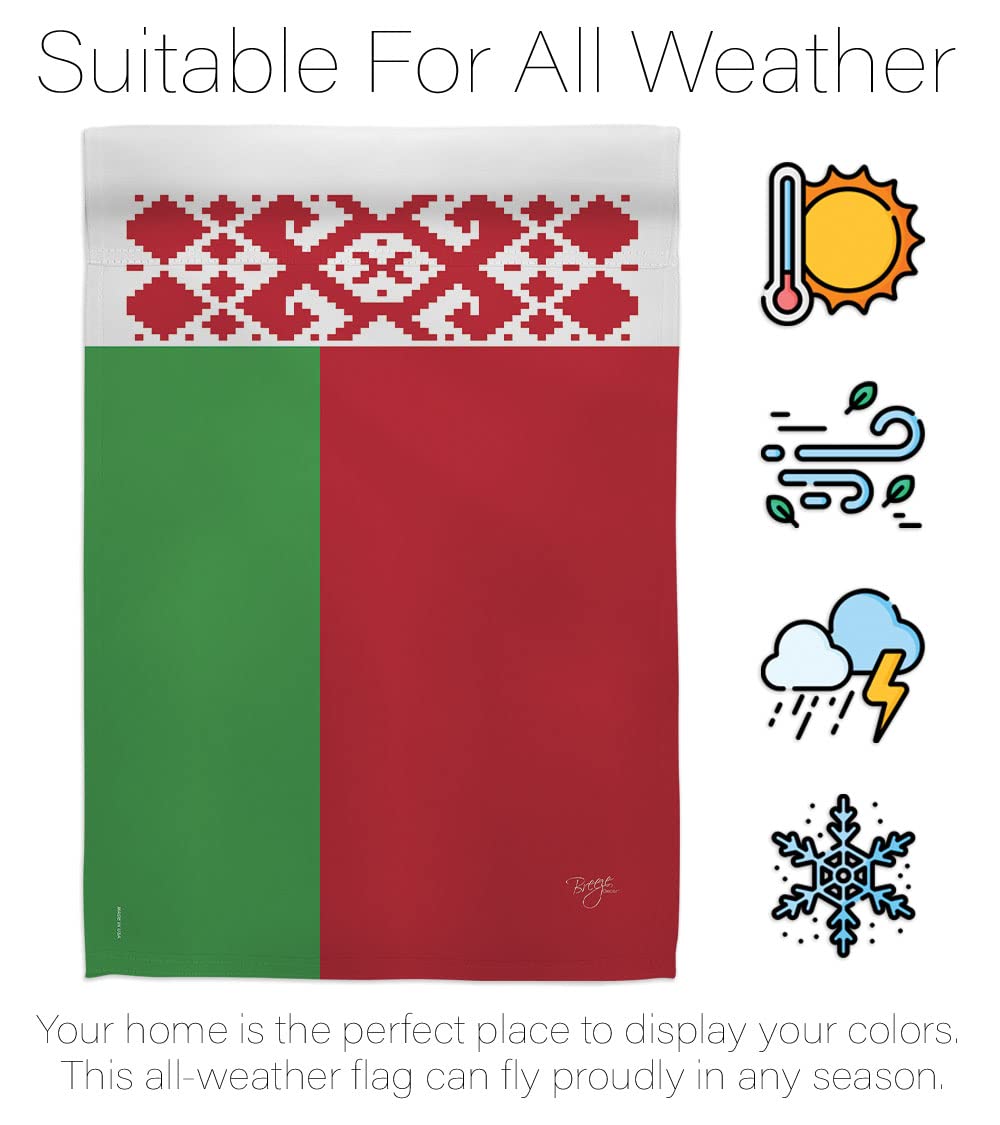 Belarus National Flag Set 28