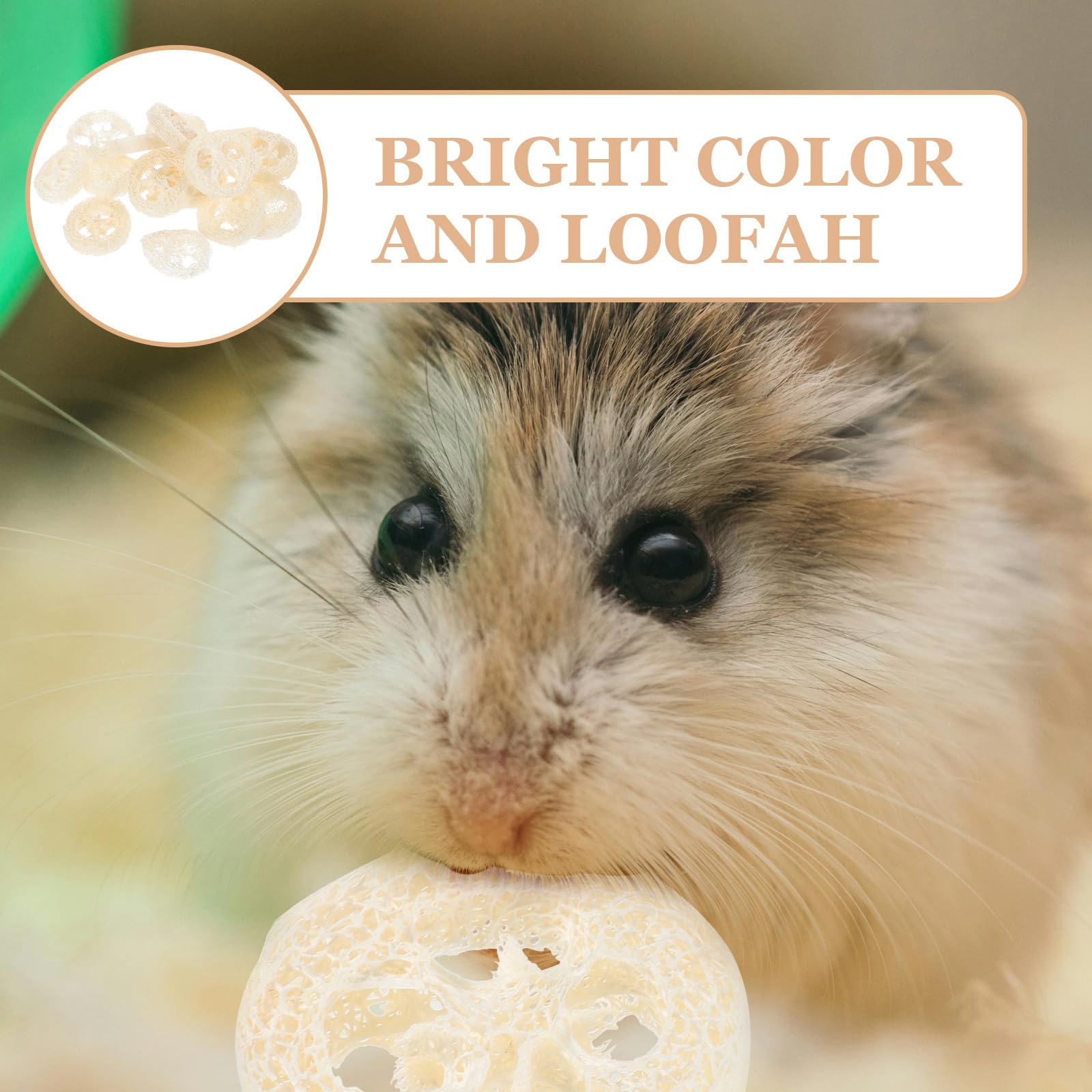 Natural Loofah Chew Toys for Small Pets - Hamster, Rabbit, Chinchilla, Guinea Pig & Bird Chewing Toy - Safe Cage Shredder & Enrichment Activity for Rabbits, Parrots & Rodents (Random Color) - Perfect for Cage Play, Teeth Trimming & Stress Relief
