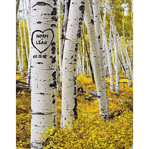 Custom Personalized Art Print with Name & Date - Seasons of Love Wedding Gift for Couples, Anniversary Present, Bride to Groom Gift, Unique Carved Tree Wall Decor for Bedroom, Living Room & Home