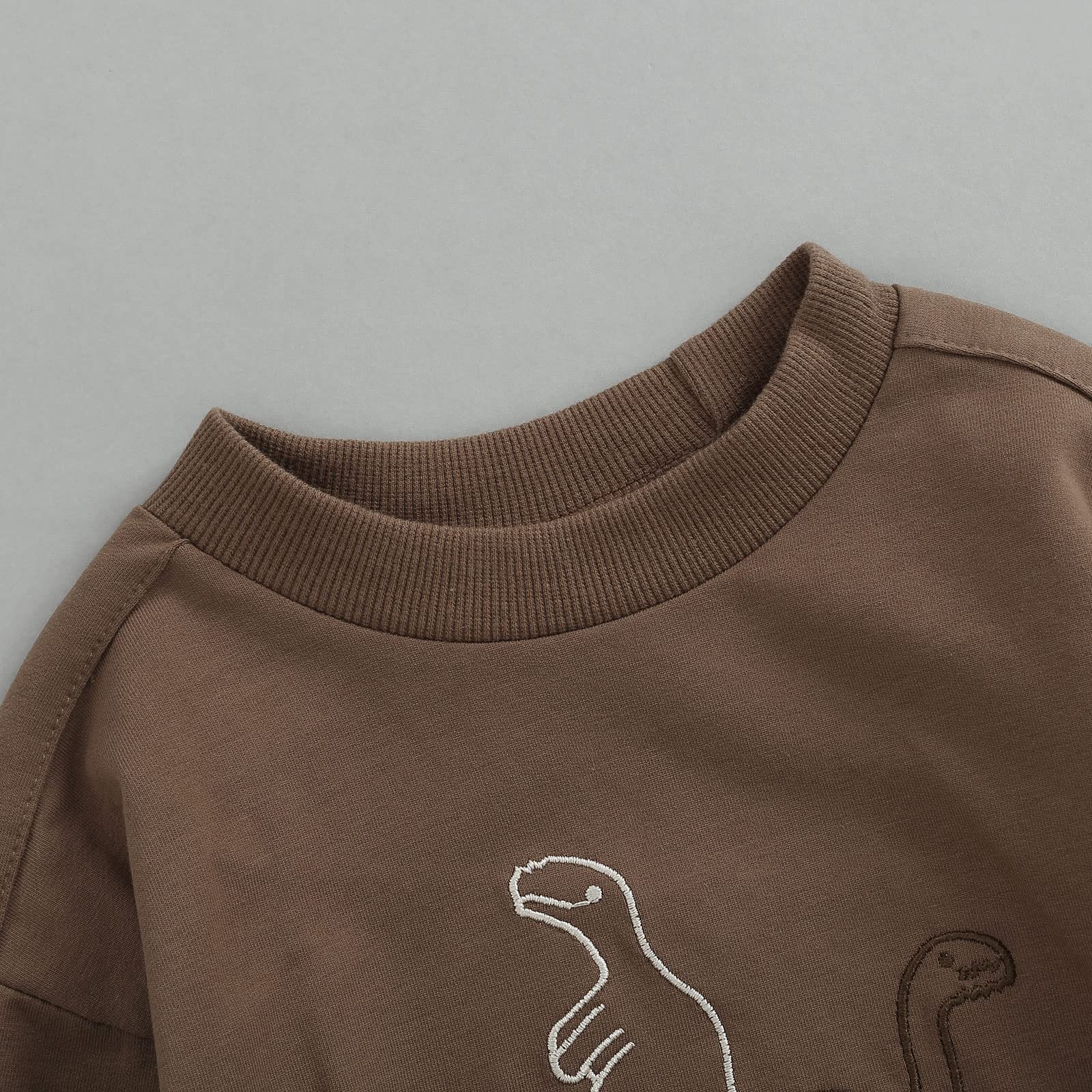 **Dinosaur Print Baby Romper - Newborn Boy Girl Long Sleeve Crewneck Sweatshirt | Fall & Winter Outfit for Playdates & Family Photos**