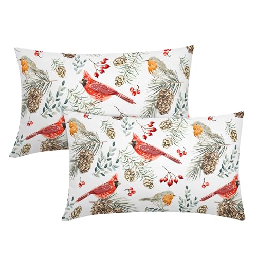 Bird White