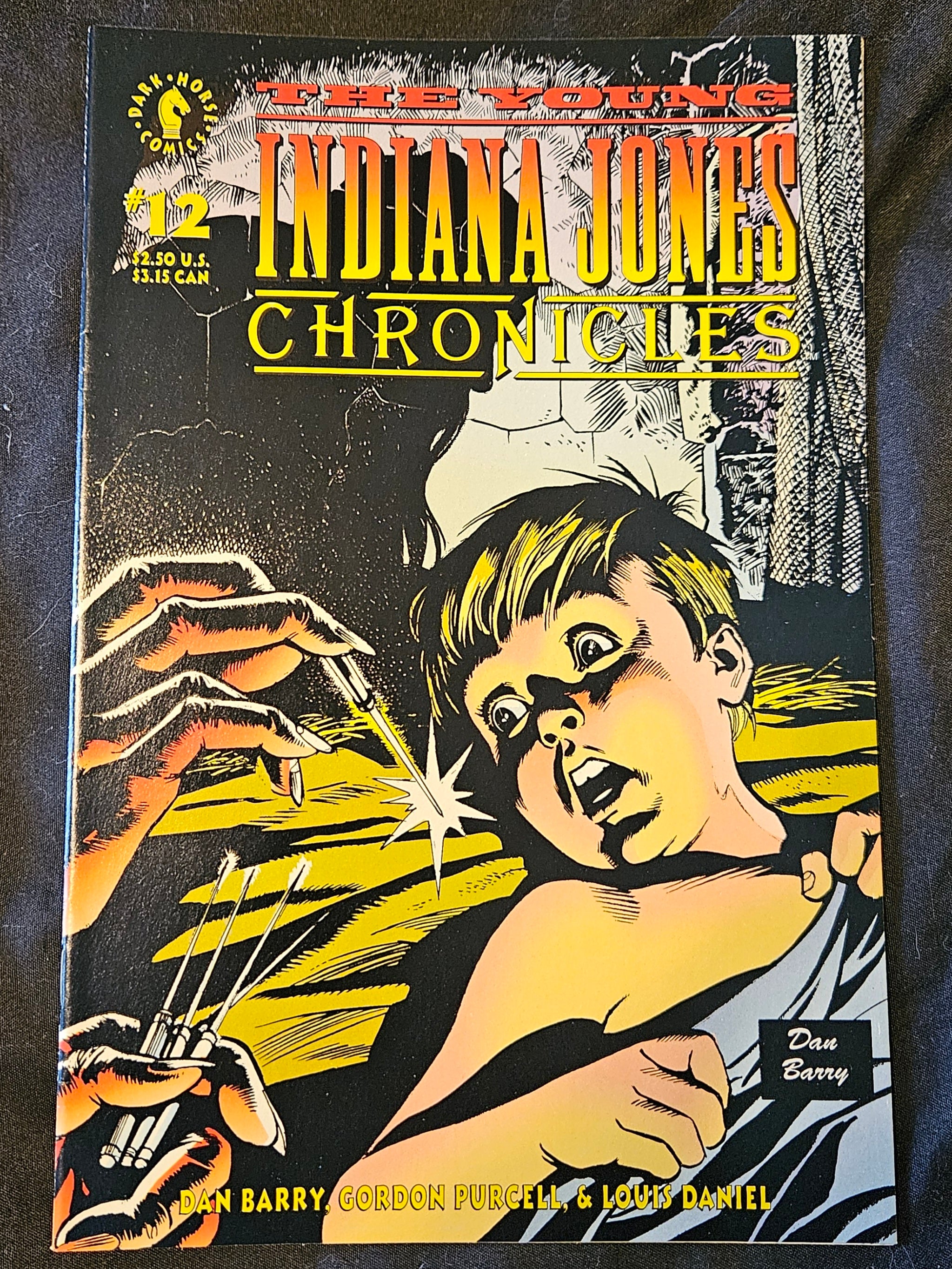 Dark Horse Comics Indiana Jones #12 - The Further Adventures of Indiana Jones | Collectible Comic Book for Fans & Collectors | Perfect for Gifts, Display & Reading