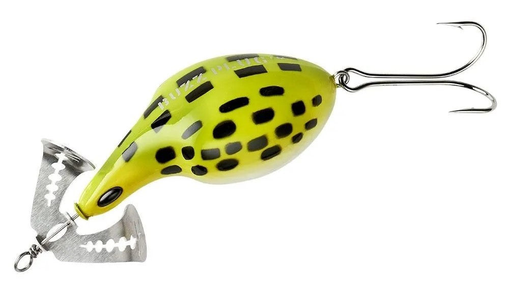 Frog White Belly