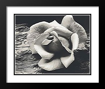 Ansel Adams Framed and Double Matted Art Print - 