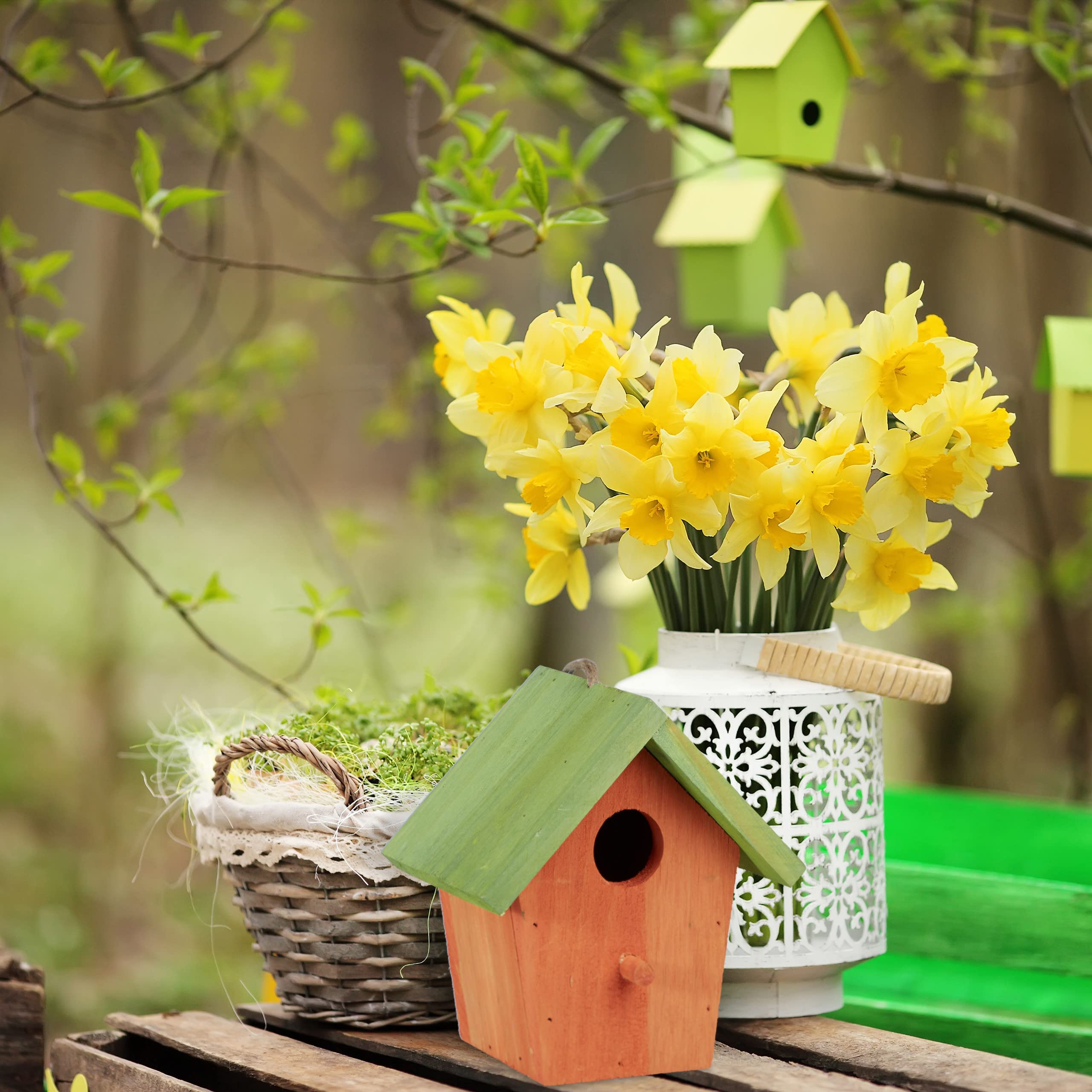 Vibrant Wooden Bird House - Small Hanging Bird Feeder with Spring Decor (16x15x8cm) - Perfect for Garden, Patio & Backyard Bird Watching
